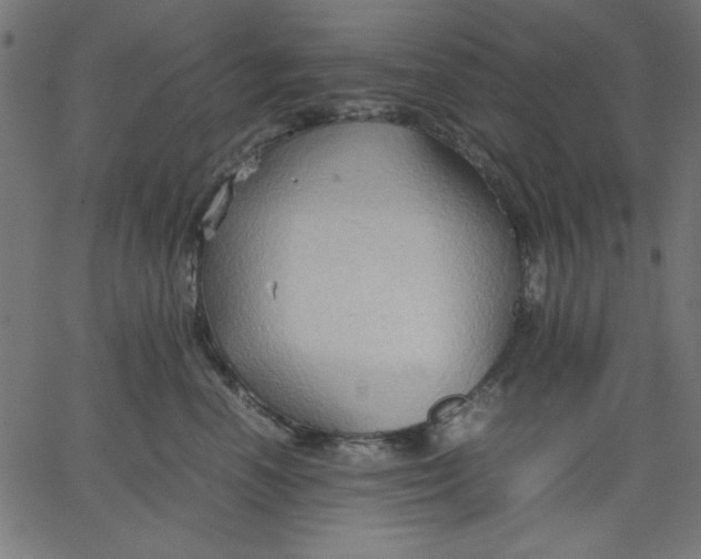 X0000067830666200604271556