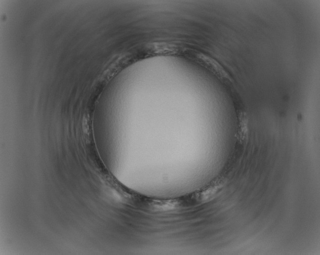 X0000067830667200604271556