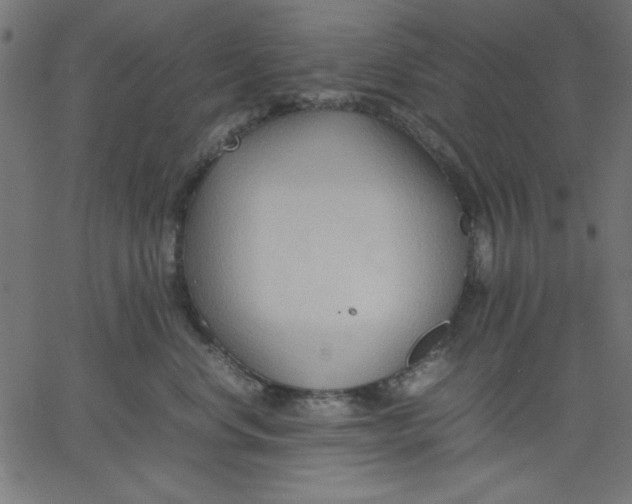 X0000067830668200604271556