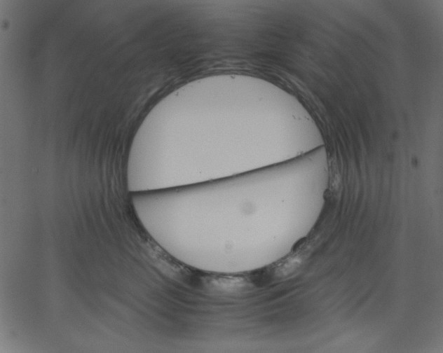 X0000067830669200604271556