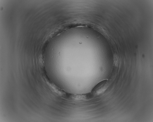 X0000067830670200604271556