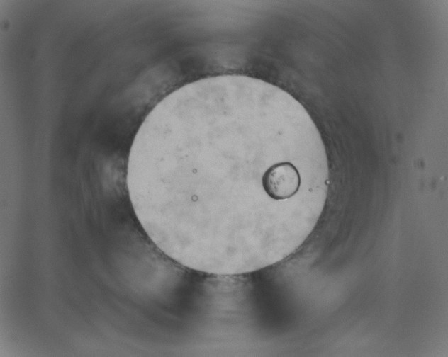 X0000067830672200604271556