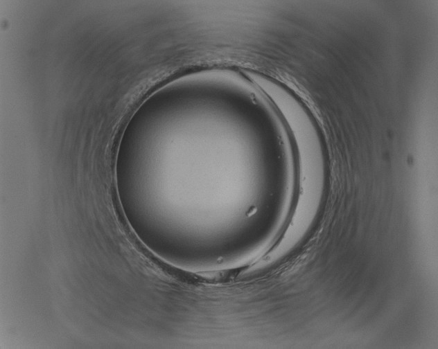 X0000067830673200604271555