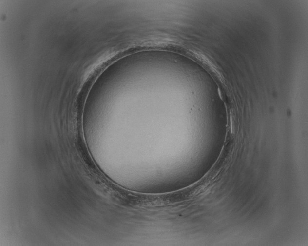 X0000067830675200604271555