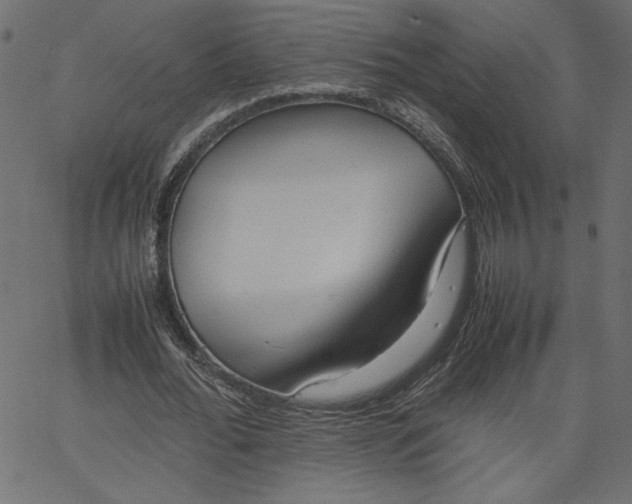 X0000067830676200604271555