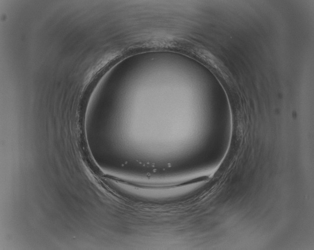 X0000067830677200604271555