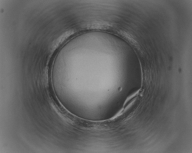 X0000067830678200604271555