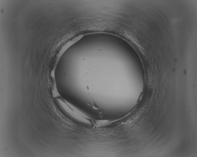 X0000067830681200604271555