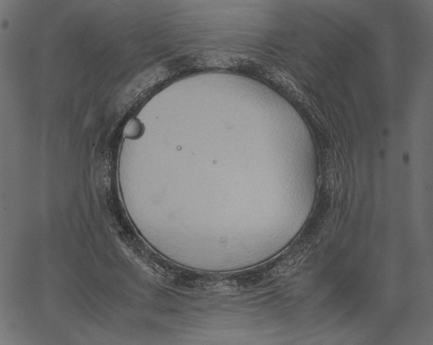 X0000067830683200604271555