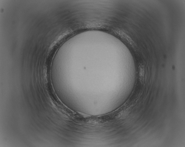 X0000067830684200604271555