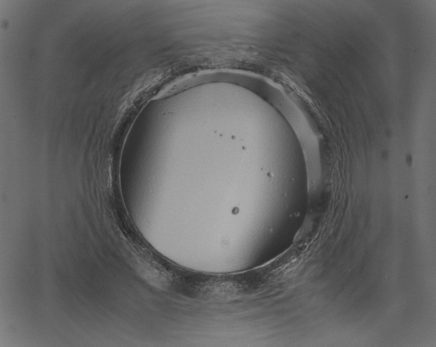 X0000067830685200604271555