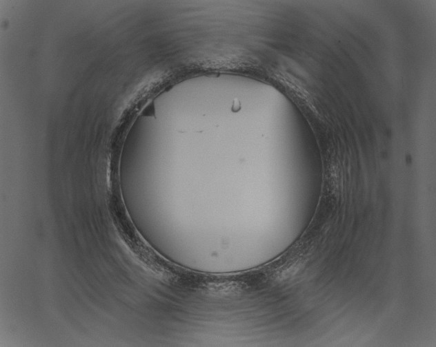 X0000067830686200604271555