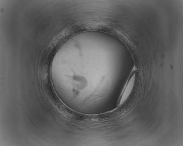 X0000067830687200604271555