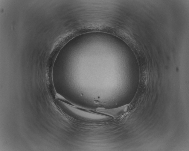 X0000067830688200604271555