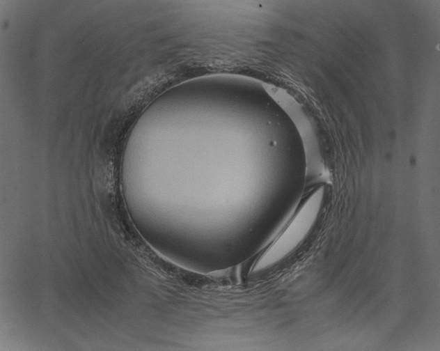 X0000067830689200604271555