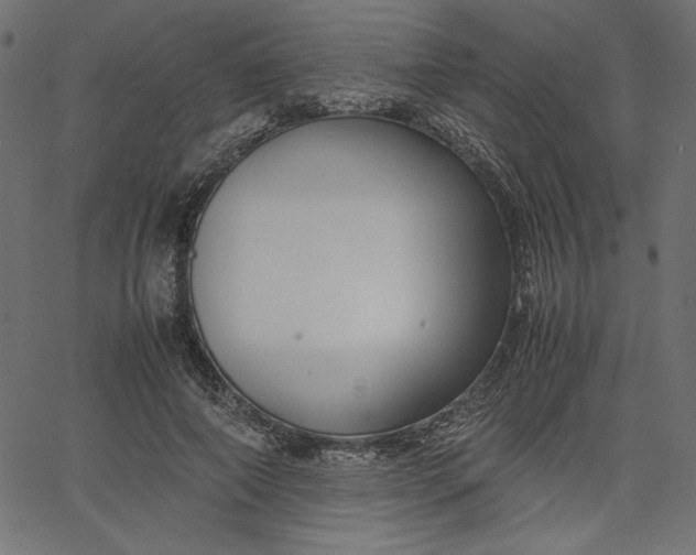 X0000067830690200604271555