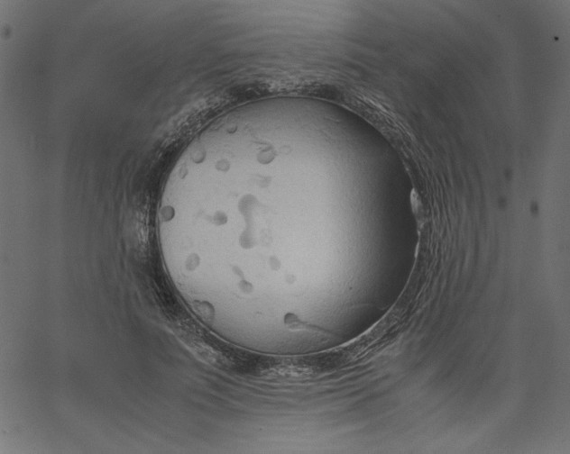 X0000067830691200604271555