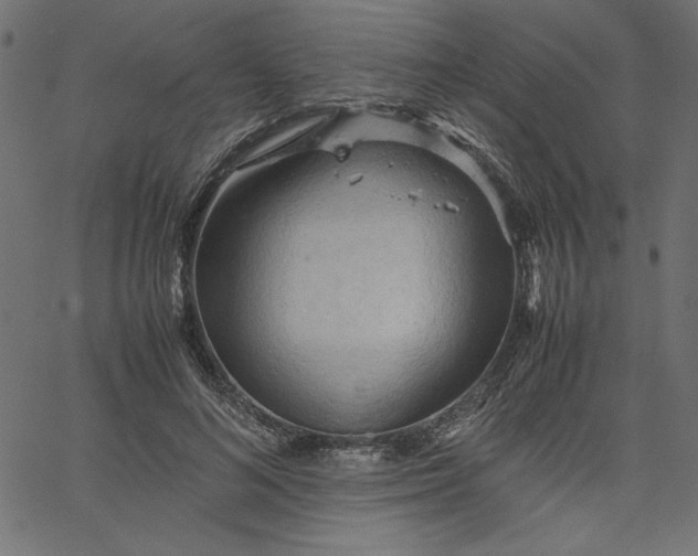 X0000067830692200604271555