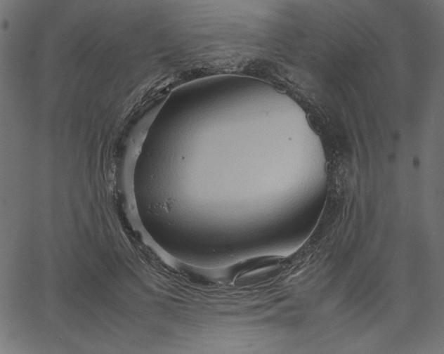 X0000067830693200604271555