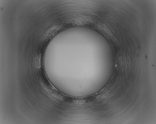 X0000067830694200604271555