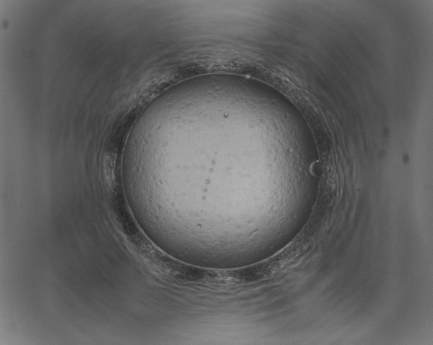 X0000067830695200604271555