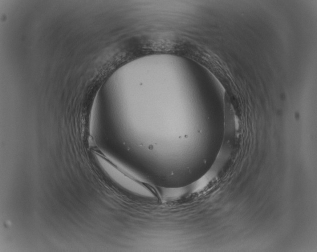 X0000067830697200604271555