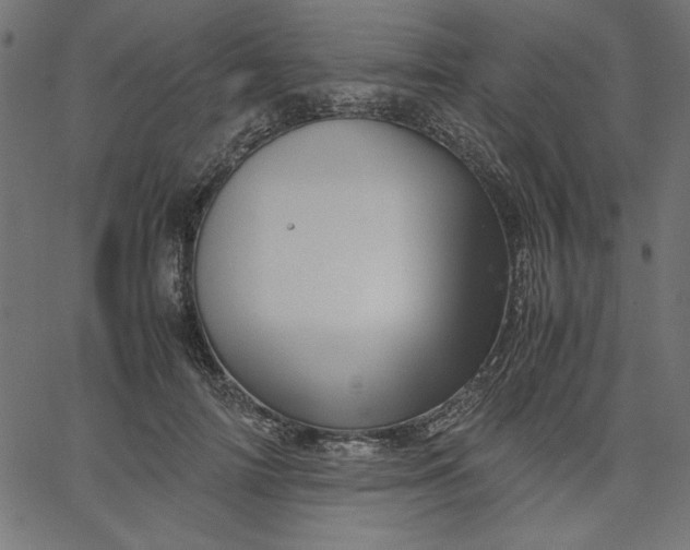 X0000067830698200604271555