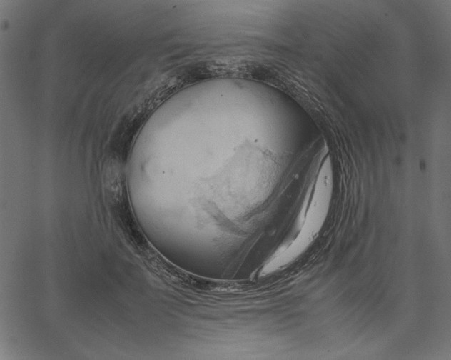 X0000067830699200604271555