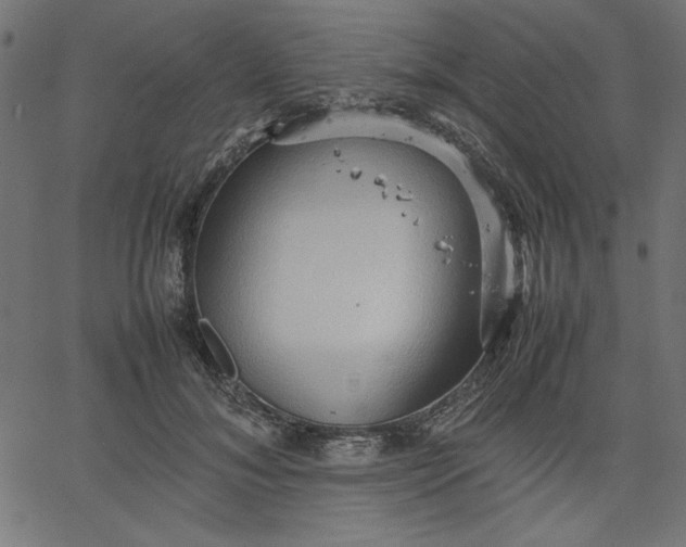 X0000067830700200604271555