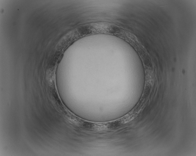 X0000067830701200604271555