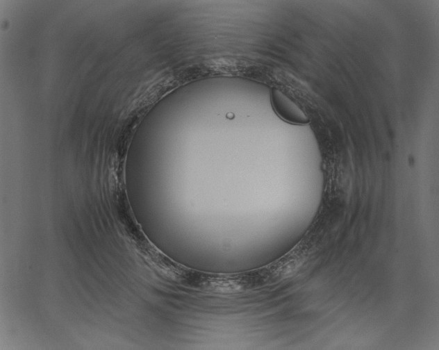 X0000067830702200604271555