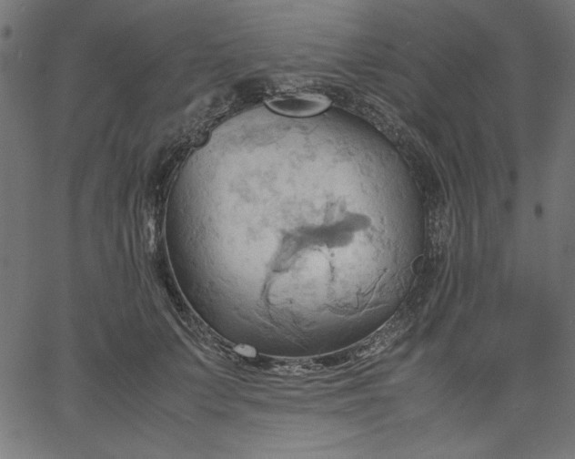 X0000067830703200604271555