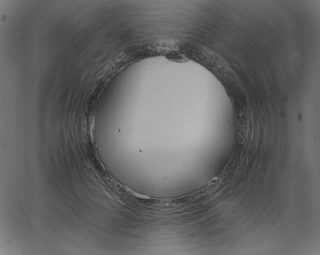 X0000067830704200604271555