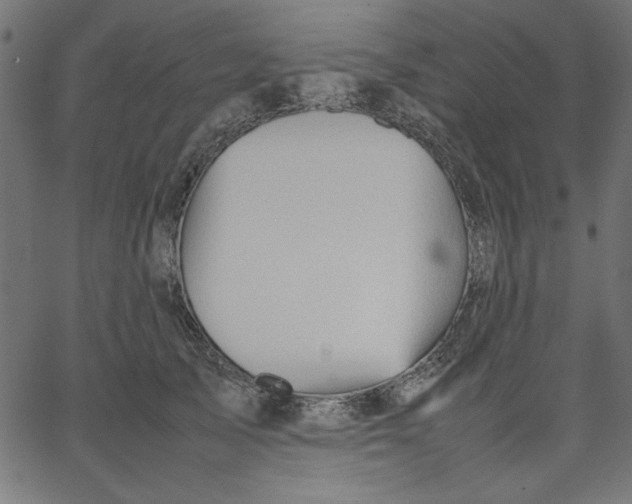 X0000067830705200604271554