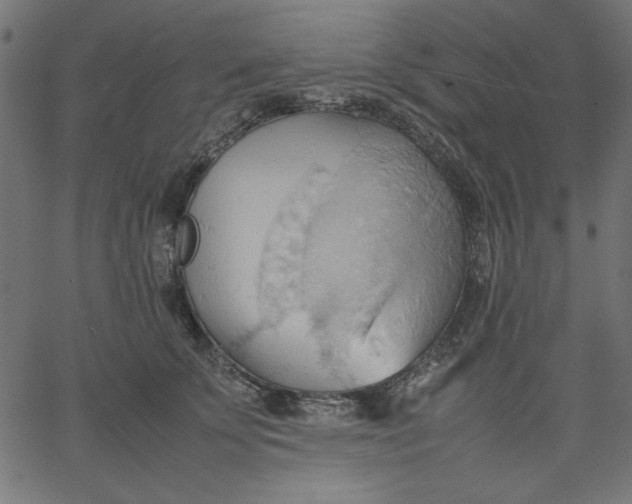 X0000067830707200604271554