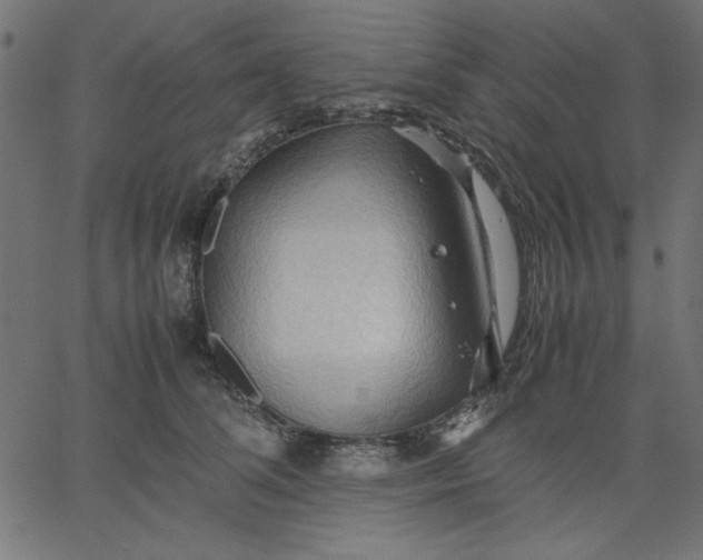 X0000067830708200604271554