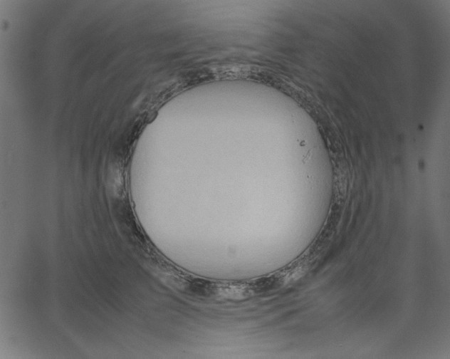 X0000067830709200604271554