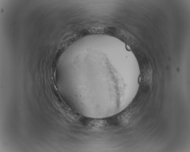 X0000067830711200604271554