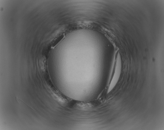 X0000067830712200604271554