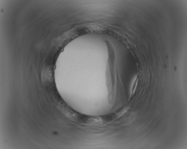 X0000067830715200604271554