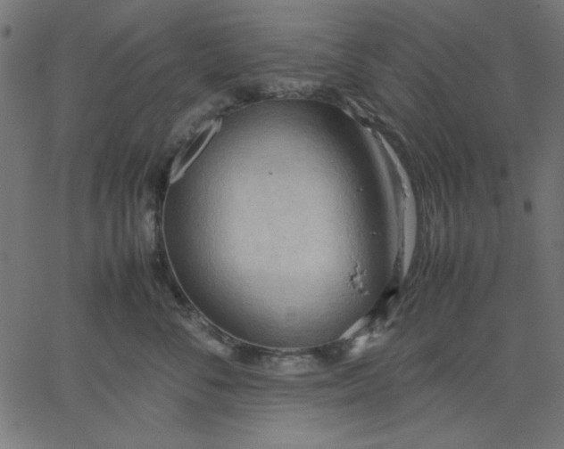 X0000067830716200604271554