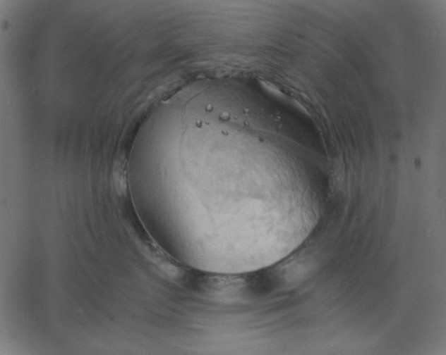 X0000067830719200604271554