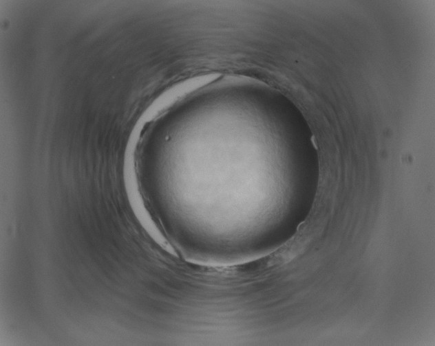 X0000067830720200604271554