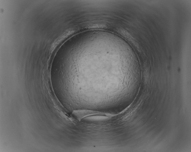 X0000067830721200604271553