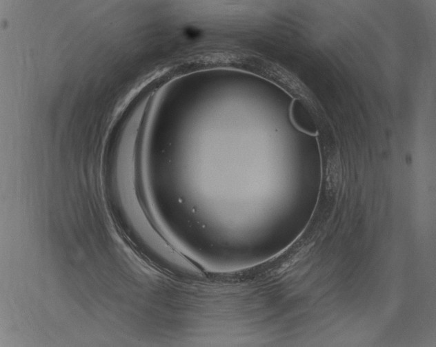 X0000067830722200604271553