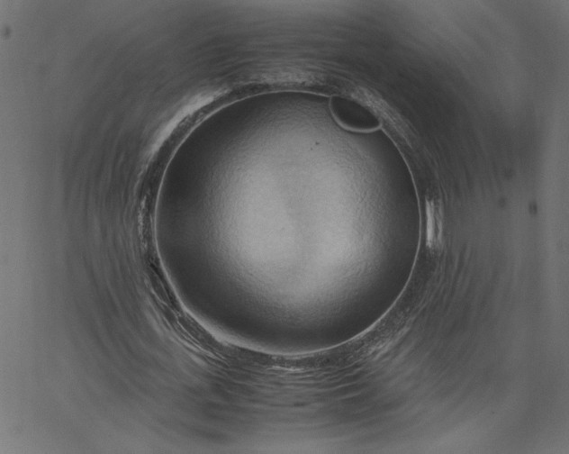 X0000067830723200604271554