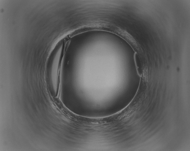 X0000067830724200604271554