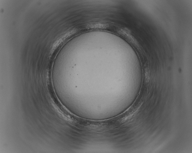 X0000067830725200604271554