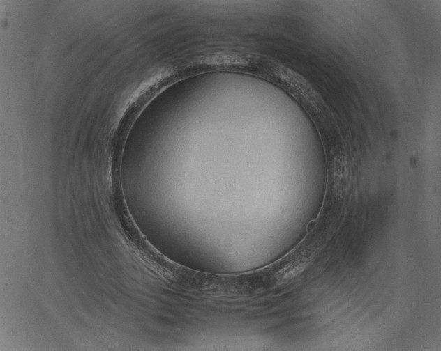 X0000067830727200604271554