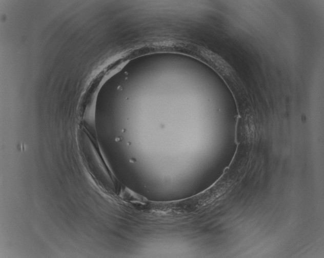 X0000067830728200604271554